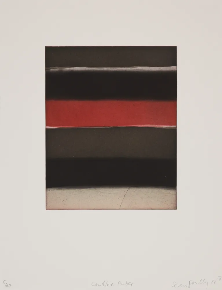 アクチアント Scully - 