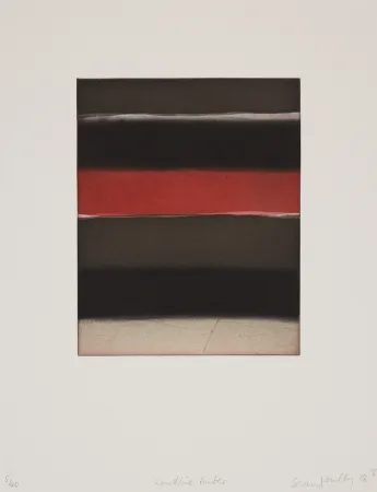 アクチアント Scully - 