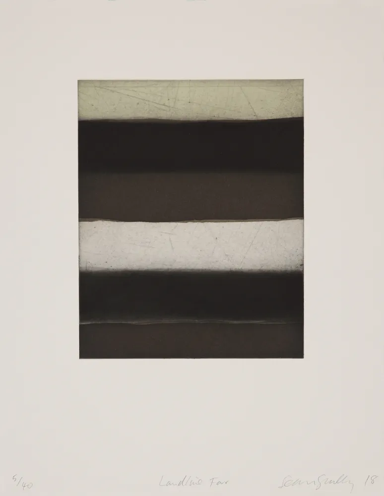 アクチアント Scully - 