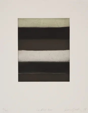 アクチアント Scully - 