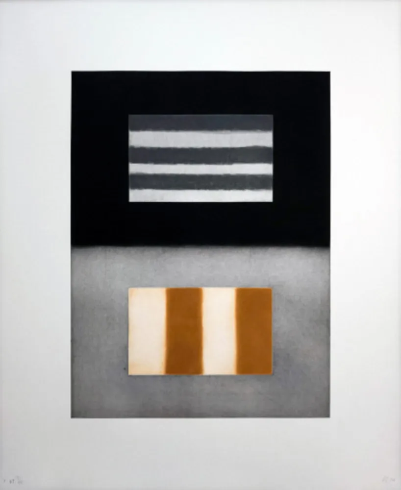 エッチングと　アクチアント Scully - Liliane 4