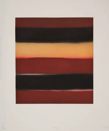 アクチアント Scully - 