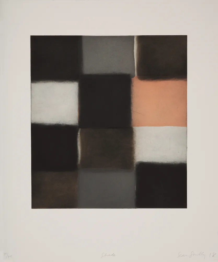 アクチアント Scully - 