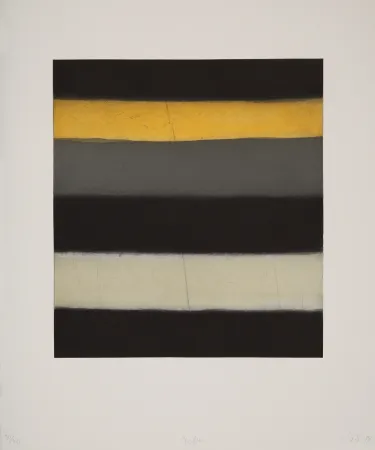 アクチアント Scully - Yellow