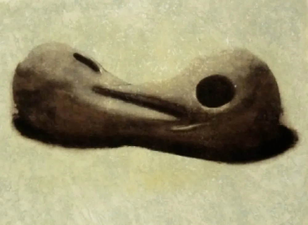 エッチングと　アクチアント Senise - Sans titre