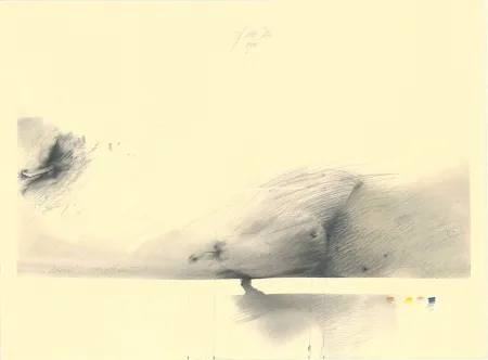 技術的なありません Sensen - Birnen — Mettnau 1