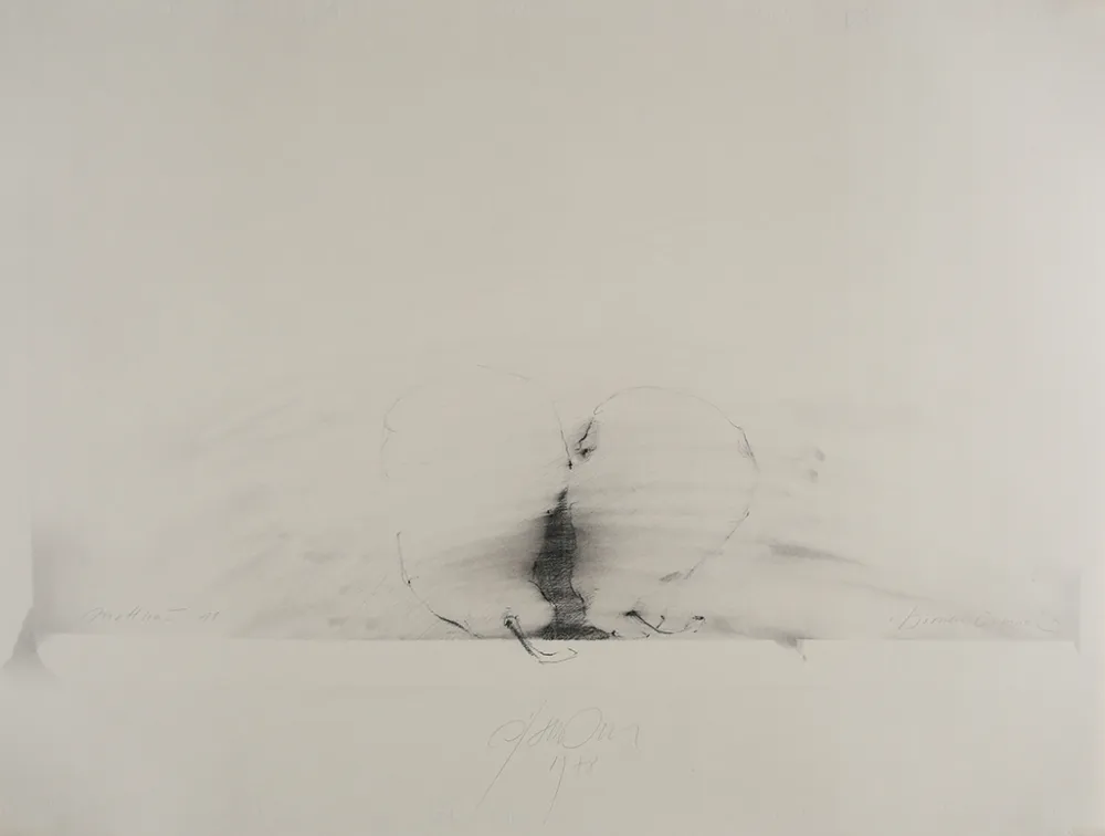 技術的なありません Sensen - Mettnau 11.  Birnen-vaginal