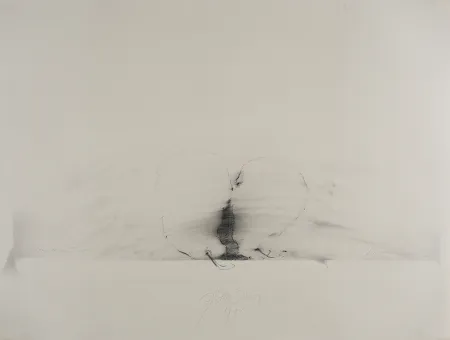 技術的なありません Sensen - Mettnau 11.  Birnen-vaginal