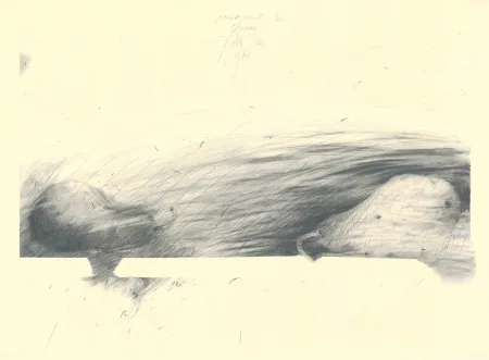 技術的なありません Sensen - Mettnau 12 — 2 Birne