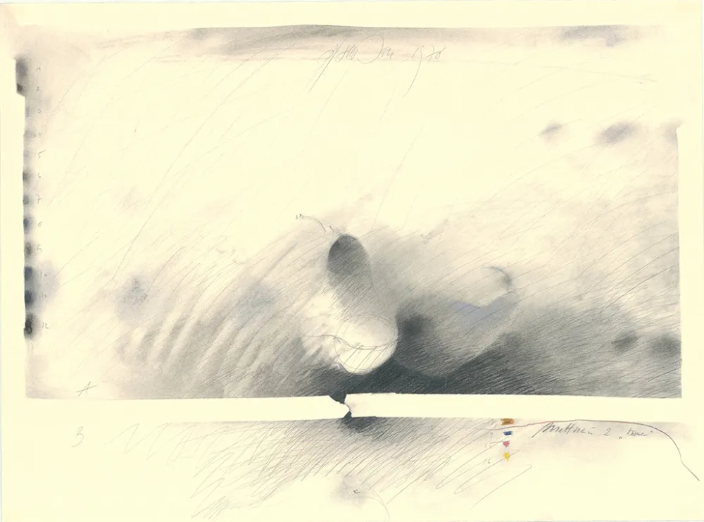 技術的なありません Sensen - Mettnau 2 — Birne