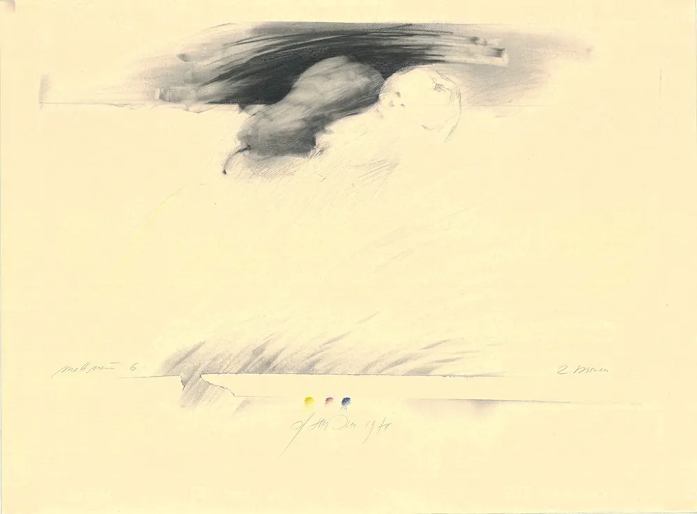 技術的なありません Sensen - Mettnau 6— 2 Birnen