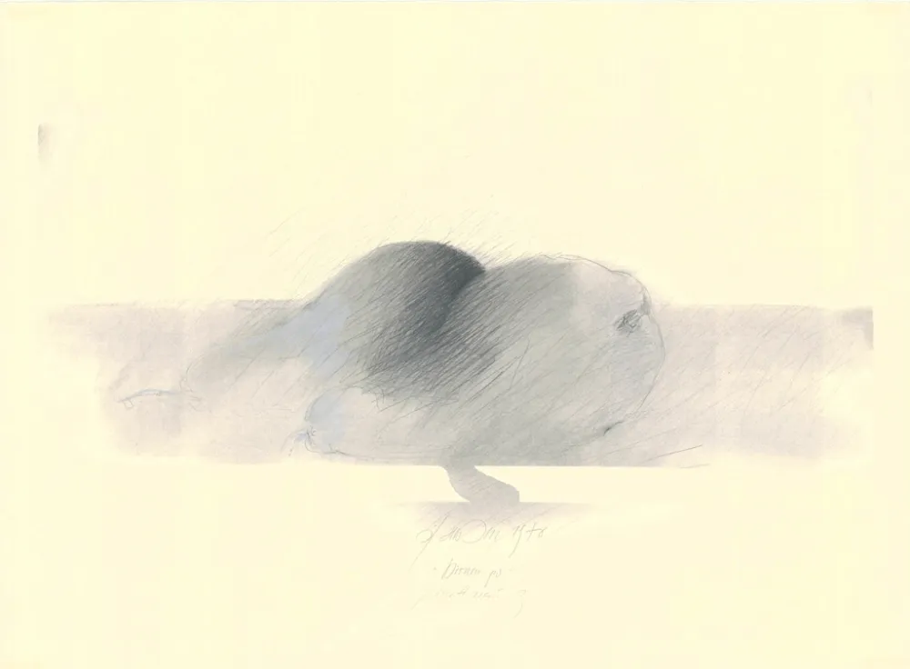 技術的なありません Sensen - Mettnau 9.  Birnen po