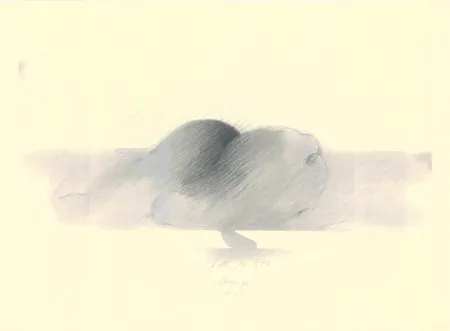 技術的なありません Sensen - Mettnau 9.  Birnen po