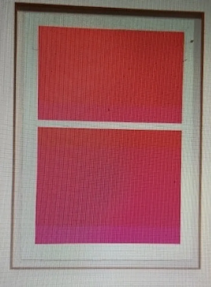 シルクスクリーン Shepherd - State Theater on Bikini Pink