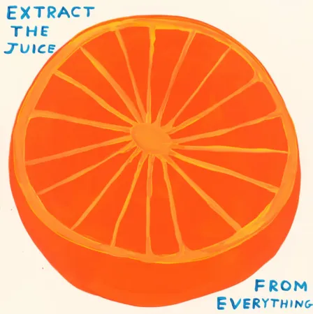 シルクスクリーン Shrigley - Extract The Juice