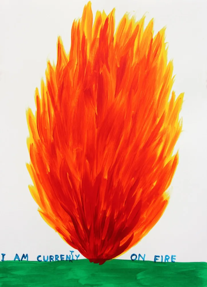 シルクスクリーン Shrigley - I Am Currently On Fire