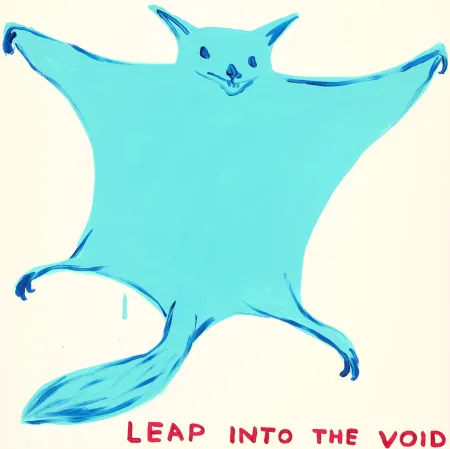 シルクスクリーン Shrigley - Leap Into The Void
