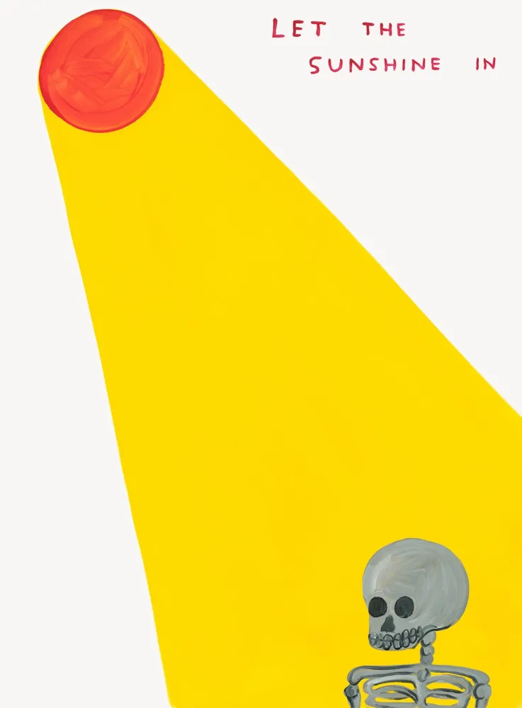 シルクスクリーン Shrigley - Let The Sunshine In