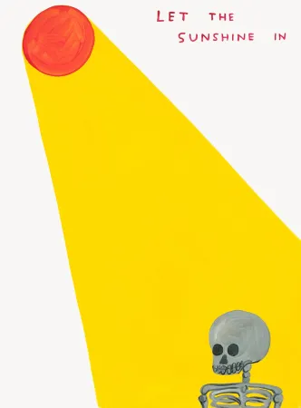 シルクスクリーン Shrigley - Let The Sunshine In