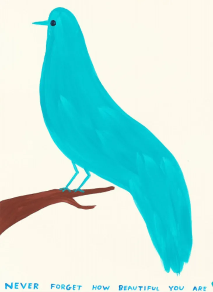 多数の Shrigley - Never Forget How Beautiful You Are