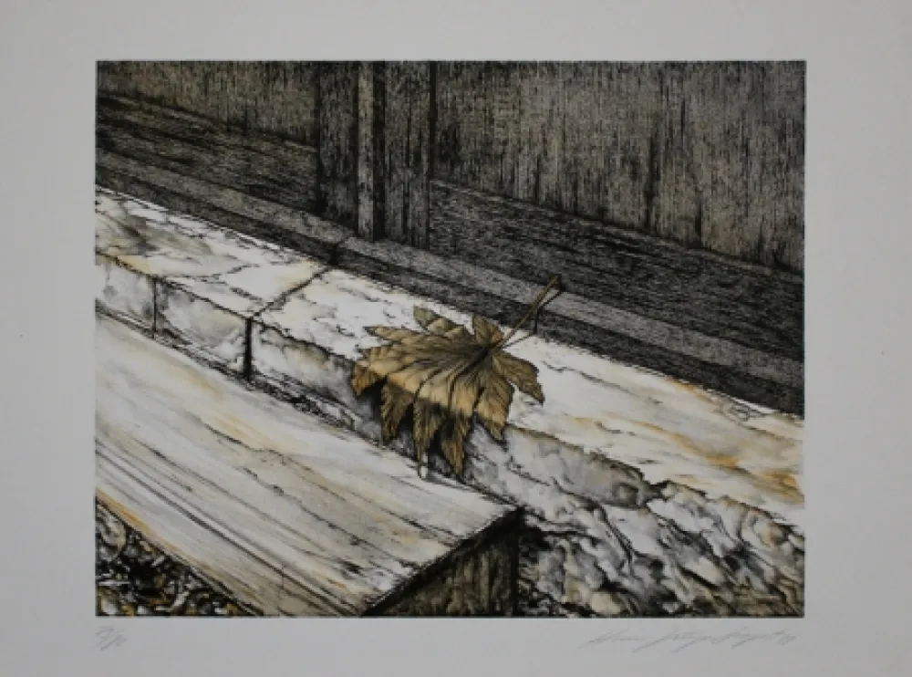 リトグラフ Siegert - Ahornblatt / Maple Leaf