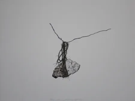 リトグラフ Siegert - Stein / Rock