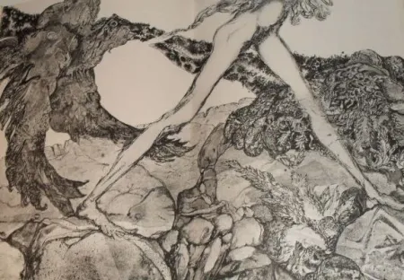 挿絵入り本 Simon - Die Suchende / Celle qui cherche