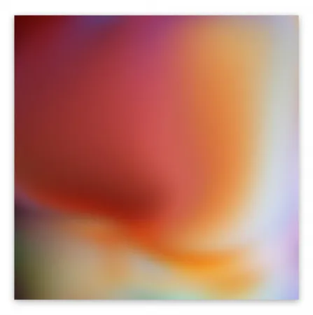 写真 Snell - Bleed # 202009