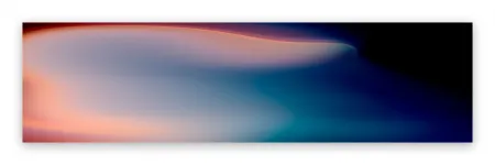 写真 Snell - Bleed # 202021