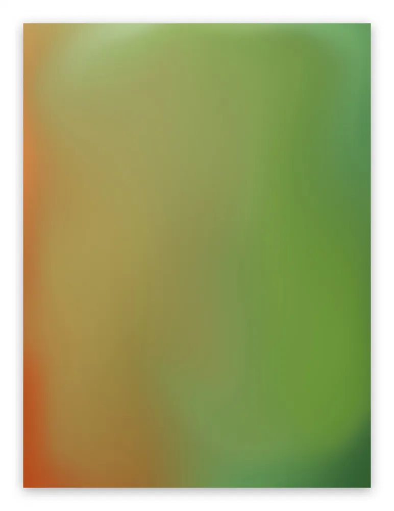 写真 Snell - Bleed # 202031