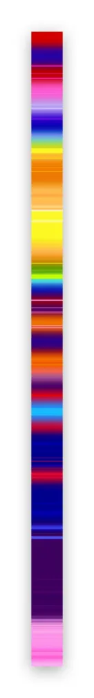 写真 Snell - Lumina # 202101 