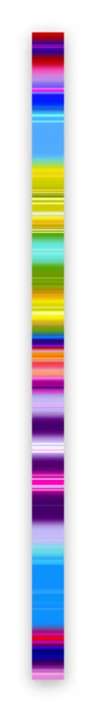 写真 Snell - Lumina # 202103