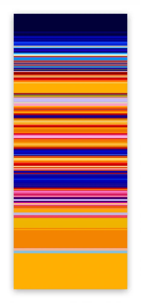 写真 Snell - Trace # 201902