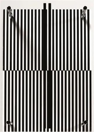 多数の Soto - Permutation