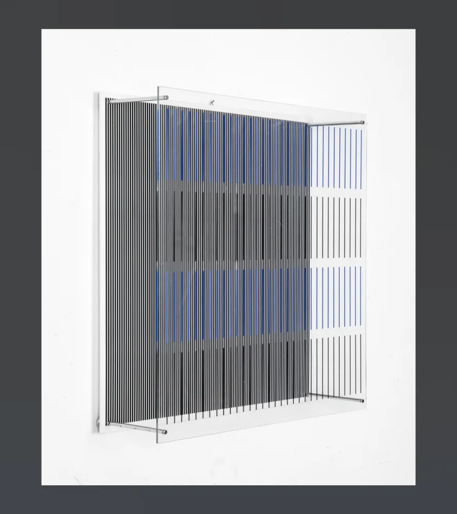 多数の Soto - Tes Azules Y Negras