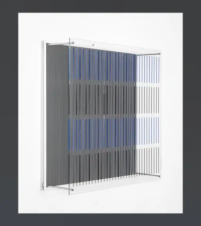 多数の Soto - Tes Azules Y Negras