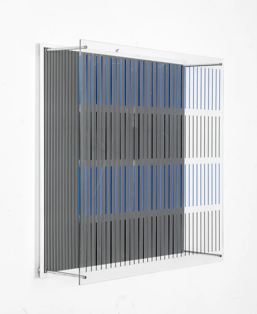 多数の Soto - Tes Azules Y Negras