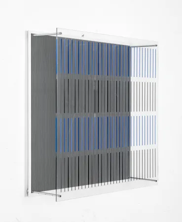 多数の Soto - Tes Azules Y Negras