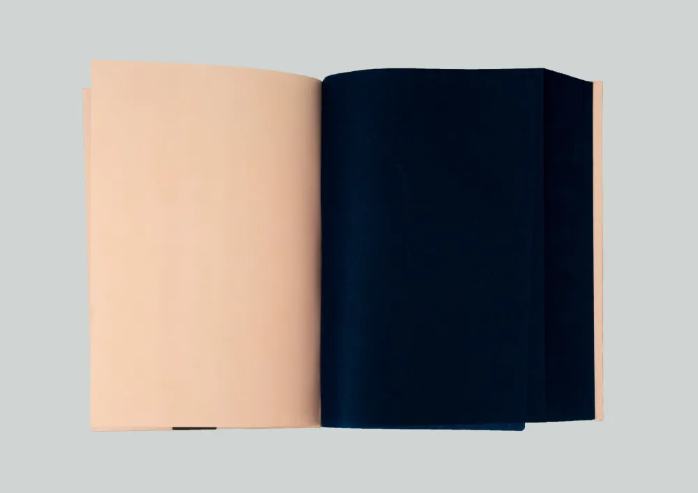 多数の Spalletti - Kleve