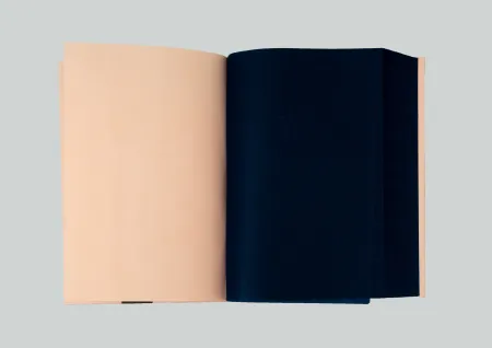 多数の Spalletti - Kleve