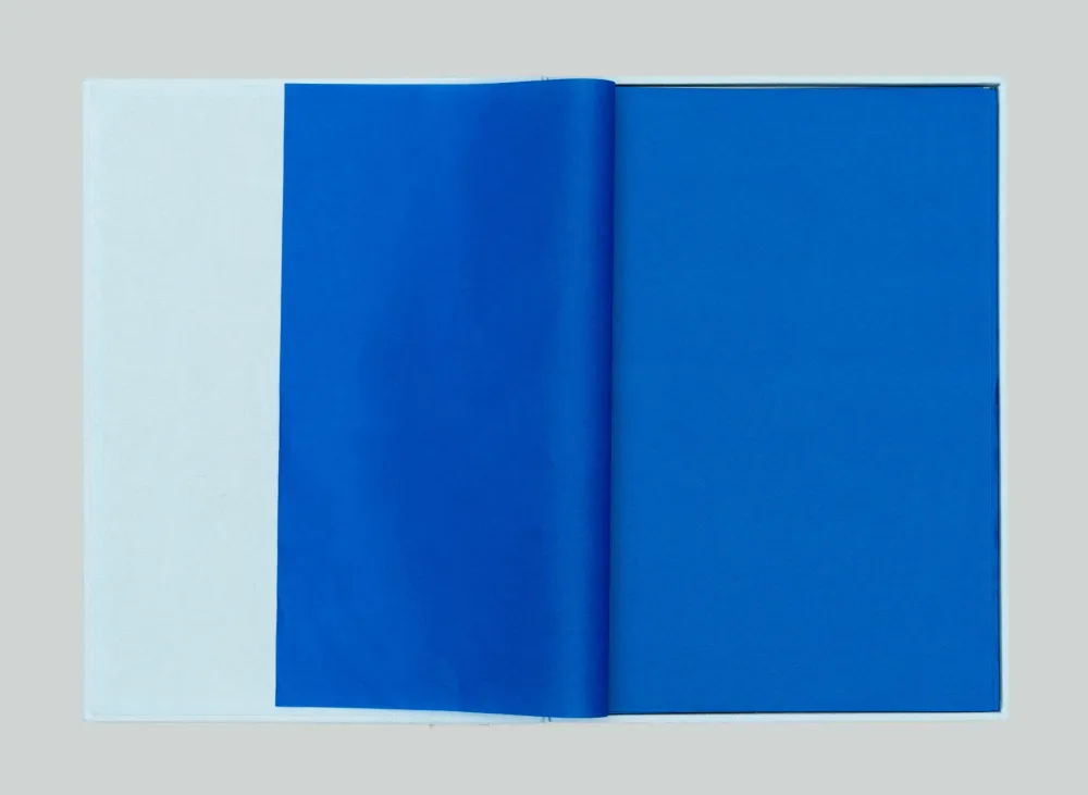 多数の Spalletti - Senza titolo