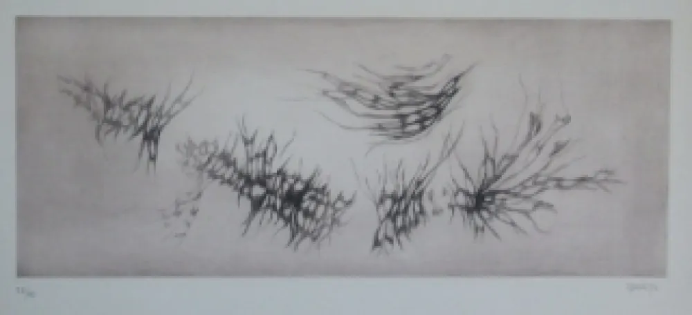 エッチングと　アクチアント Springer - Racines