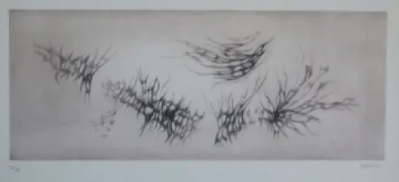 エッチングと　アクチアント Springer - Racines