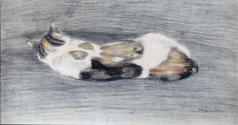 リトグラフ Steinlen - Chats et Autres Bêtes