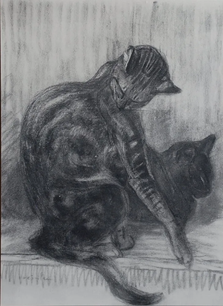 リトグラフ Steinlen - Chats et Autres Bêtes