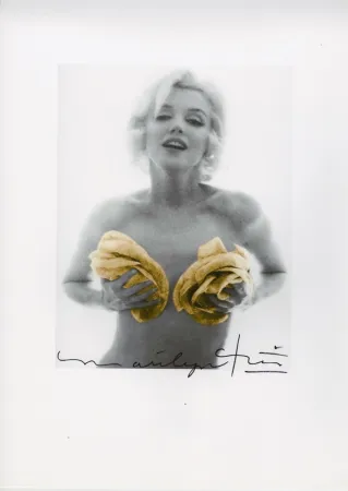 多数の Stern - Marilyn Monroe yellow roses