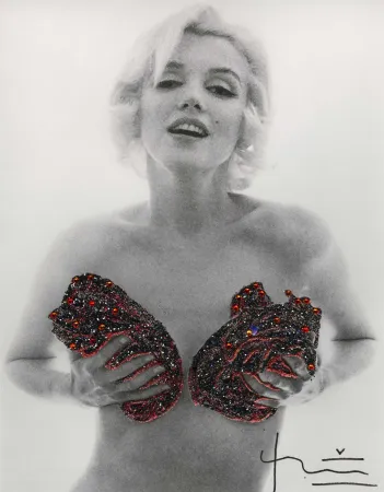 写真 Stern - Marilyn Red Classic Charcoal Roses