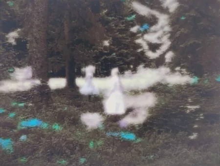 写真 Strba - Frances und die Elfen. 