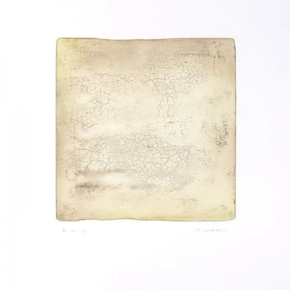 彫版 Su - Inactness B