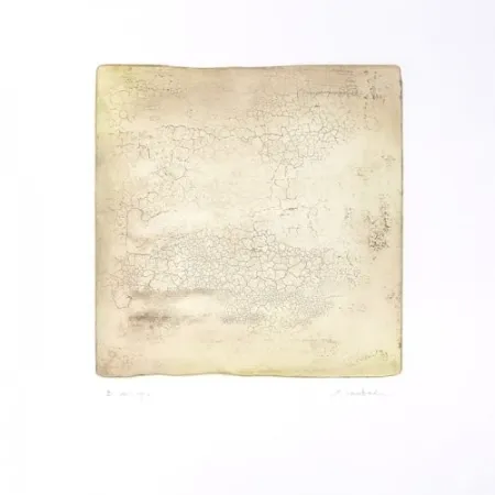 彫版 Su - Inactness B